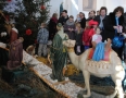 Cirkev - MICHALOVCE: Kostoly počas Vianoc zdobia nádherné betlehemy - 11.JPG