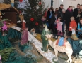 Cirkev - MICHALOVCE: Kostoly počas Vianoc zdobia nádherné betlehemy - 2.JPG