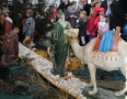 Cirkev - MICHALOVCE: Kostoly počas Vianoc zdobia nádherné betlehemy - 4.JPG
