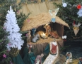 Cirkev - MICHALOVCE: Kostoly počas Vianoc zdobia nádherné betlehemy - 6.JPG