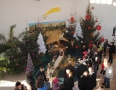 Cirkev - MICHALOVCE: Kostoly počas Vianoc zdobia nádherné betlehemy - 8.JPG