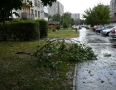 Samospráva - Michalovcami sa prehnala ničivá búrka!!! Pozrite si fotky a video - P1290640.JPG