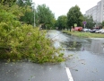 Samospráva - Michalovcami sa prehnala ničivá búrka!!! Pozrite si fotky a video - P1290643.JPG