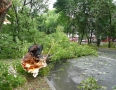 Samospráva - Michalovcami sa prehnala ničivá búrka!!! Pozrite si fotky a video - P1290645.JPG