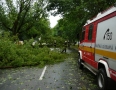 Samospráva - Michalovcami sa prehnala ničivá búrka!!! Pozrite si fotky a video - P1290647.JPG