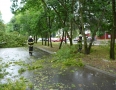 Samospráva - Michalovcami sa prehnala ničivá búrka!!! Pozrite si fotky a video - P1290648.JPG