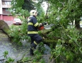 Samospráva - Michalovcami sa prehnala ničivá búrka!!! Pozrite si fotky a video - P1290653.JPG