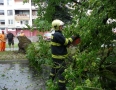 Samospráva - Michalovcami sa prehnala ničivá búrka!!! Pozrite si fotky a video - P1290654.JPG