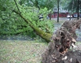 Samospráva - Michalovcami sa prehnala ničivá búrka!!! Pozrite si fotky a video - P1290657.JPG