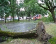 Samospráva - Michalovcami sa prehnala ničivá búrka!!! Pozrite si fotky a video - P1290658.JPG
