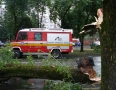 Samospráva - Michalovcami sa prehnala ničivá búrka!!! Pozrite si fotky a video - P1290659.JPG
