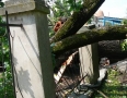 Samospráva - BÚRKA: Pri múzeu a kostole popadali obrovské stromy - P1200562.JPG
