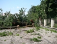 Samospráva - BÚRKA: Pri múzeu a kostole popadali obrovské stromy - P1200563.JPG