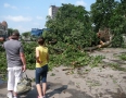 Samospráva - BÚRKA: Pri múzeu a kostole popadali obrovské stromy - P1200565.JPG