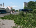 Samospráva - BÚRKA: Pri múzeu a kostole popadali obrovské stromy - P1200566.JPG
