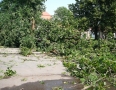 Samospráva - BÚRKA: Pri múzeu a kostole popadali obrovské stromy - P1200568.JPG
