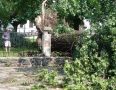 Samospráva - BÚRKA: Pri múzeu a kostole popadali obrovské stromy - P1200569.JPG