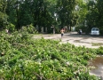 Samospráva - BÚRKA: Pri múzeu a kostole popadali obrovské stromy - P1200573.JPG
