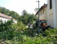 Samospráva - BÚRKA: Pri múzeu a kostole popadali obrovské stromy - P1200576.JPG