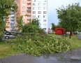 Samospráva - NIČIVÁ BÚRKA V MICHALOVCIACH!!! Strhlo strechy a padali stromy - DSC_0339.jpg