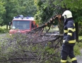 Samospráva - NIČIVÁ BÚRKA V MICHALOVCIACH!!! Strhlo strechy a padali stromy - DSC_0362.jpg
