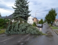 Samospráva - NIČIVÁ BÚRKA V MICHALOVCIACH!!! Strhlo strechy a padali stromy - DSC_0373.jpg