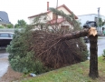 Samospráva - NIČIVÁ BÚRKA V MICHALOVCIACH!!! Strhlo strechy a padali stromy - DSC_0376.jpg