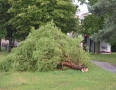 Samospráva - NIČIVÁ BÚRKA V MICHALOVCIACH!!! Strhlo strechy a padali stromy - DSC_0386.jpg