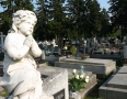 Samospráva - Tu pochovajú stovky nebohých Michalovčanov - P1160401.jpg