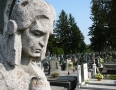 Samospráva - MICHALOVCE: Pozrite sa ako vyzerá nový michalovský cintorín - P1160398.JPG