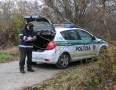 Krimi - ŠÍRAVA: Hlavy zastrelených diviakov sa povaľovali pri ceste - P1180050.JPG