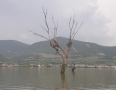 Vašim objektívom - Michalovčan splavil na kajaku Dunaj a dorazil až do Čierneho mora - P9089415.JPG