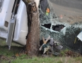 Krimi - DESIVÁ NEHODA: Autobus s cestujúcimi sa prevrátil a narazil do stromu - DSC_7781.JPG