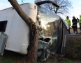 Krimi - DESIVÁ NEHODA: Autobus s cestujúcimi sa prevrátil a narazil do stromu - DSC_7811.JPG