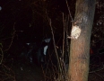 Krimi - NEHODA PRED MICHALOVCAMI: Vodič narazil do zábradlia, stromu a skončil v kríkoch - DSC_3302.JPG
