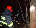 Krimi - NEHODA PRED MICHALOVCAMI: Vodič narazil do zábradlia, stromu a skončil v kríkoch - DSC_3314.JPG