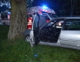 Krimi - MICHALOVCE: Vodič, ktorý narazil do stromu bol opitý. Nafúkal 2,1 promile - DSC_0184.jpg