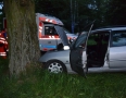 Krimi - MICHALOVCE: Vodič, ktorý narazil do stromu bol opitý. Nafúkal 2,1 promile - DSC_0185.jpg