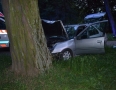 Krimi - MICHALOVCE: Vodič, ktorý narazil do stromu bol opitý. Nafúkal 2,1 promile - DSC_0187.jpg
