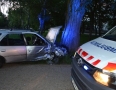 Krimi - DESIVÁ NEHODA V MICHALOVCIACH : Auto s dvomi deťmi narazilo do stromu - DSC_0194.jpg