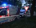 Krimi - MICHALOVCE: Vodič, ktorý narazil do stromu bol opitý. Nafúkal 2,1 promile - DSC_0196.jpg