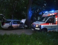 Krimi - MICHALOVCE: Vodič, ktorý narazil do stromu bol opitý. Nafúkal 2,1 promile - DSC_0200.jpg