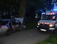 Krimi - MICHALOVCE: Vodič, ktorý narazil do stromu bol opitý. Nafúkal 2,1 promile - DSC_0202.jpg