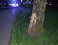 Krimi - DESIVÁ NEHODA V MICHALOVCIACH : Auto s dvomi deťmi narazilo do stromu - DSC_0220.jpg