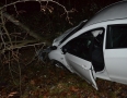 Krimi - Mladík, ktorý narazil autom do stromu bol opitý - DSC_3909.jpg