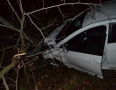 Krimi - Mladík, ktorý narazil autom do stromu bol opitý - DSC_3911.jpg