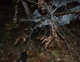 Krimi - NEHODA NA ŠÍRAVE: Mladík narazil do stromu - DSC_3914.jpg