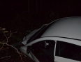 Krimi - Mladík, ktorý narazil autom do stromu bol opitý - DSC_3923.jpg