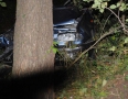 Krimi - NEHODA:  Narazil do 100 kilovej jelenice a potom do stromu - 21.jpg