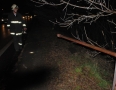 Krimi - MICHALOVCE: Vodič prerazil zábradlie a narazil do stromu - 41.JPG